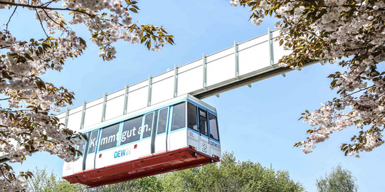 Die H-Bahn fährt an blühenden Bäumen vorbei.
